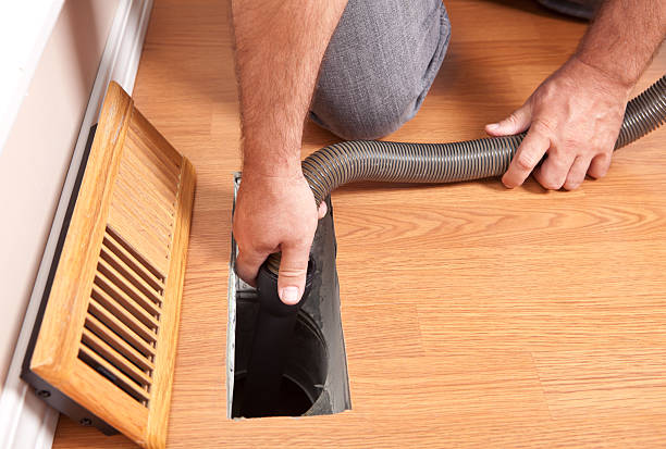 Best Air Duct Mold Removal  in USA